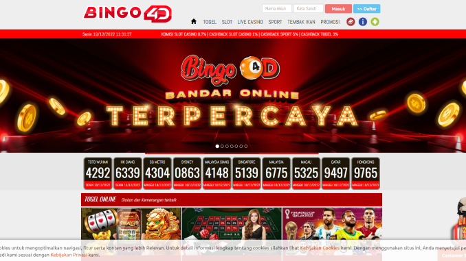Bingo4d Bingo4d